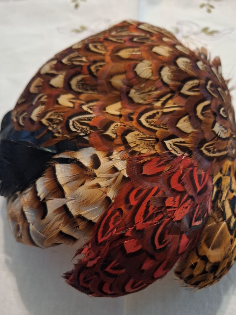 Vintage Feathered Cocktail Hat with Red and Brown Pheasant Feathers - Picture 7 of 7